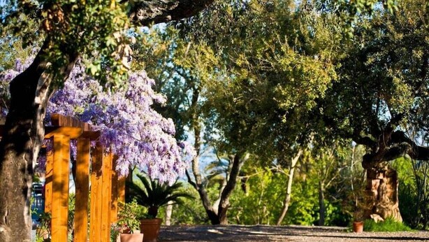 Ein Baum- und blumenbewachsener Weg, der zu einer Holzhütte führt.
