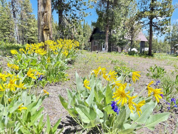 Áreas de la propiedad