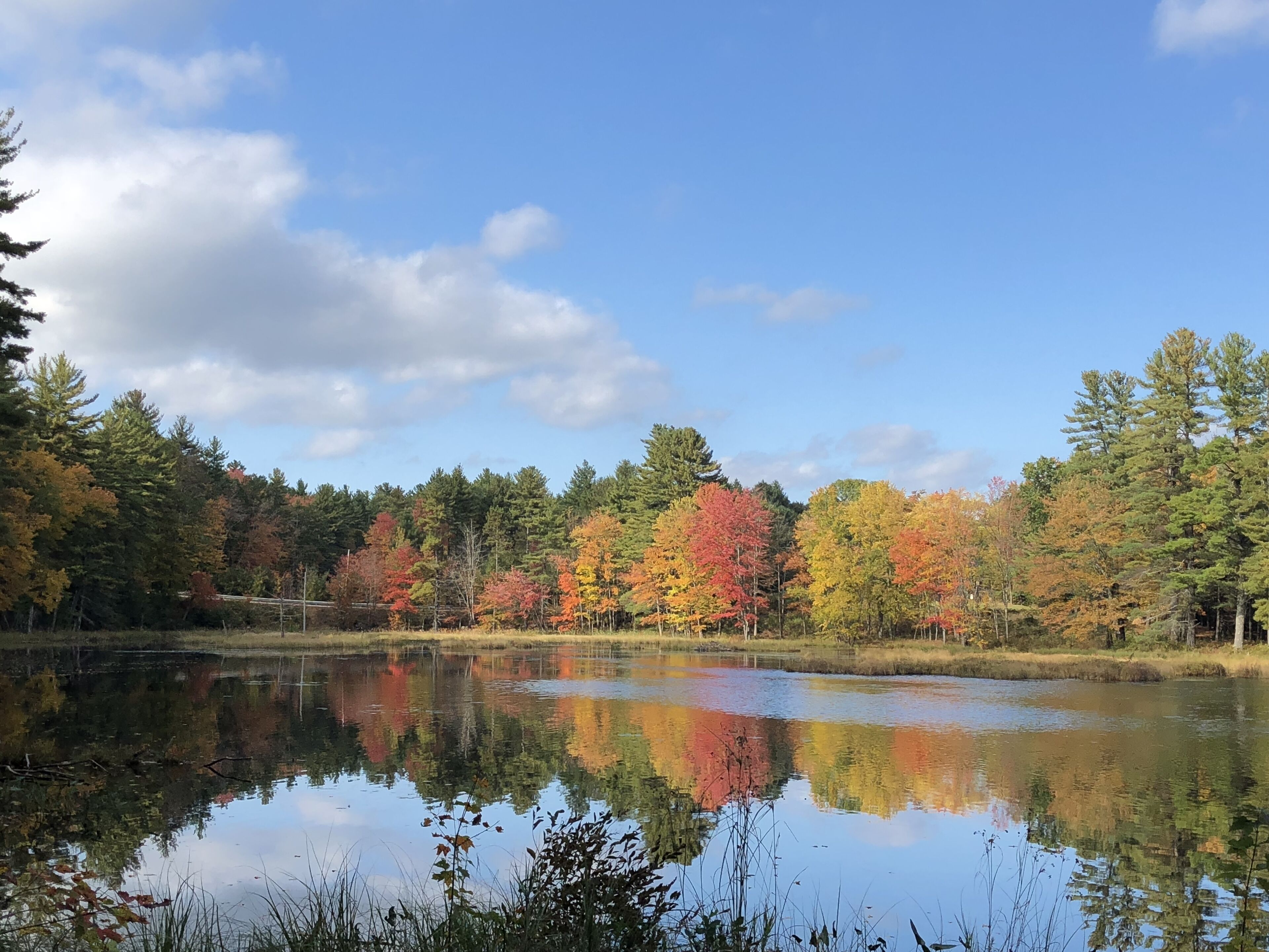 Beautiful Private Lakefront new Log Home