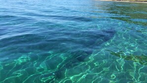 Klares, flaches Wasser mit erkennbaren Unterwasserstrukturen und einer fernen Küstenlinie.