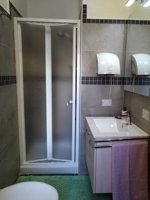 Shower, hair dryer, bidet, towels