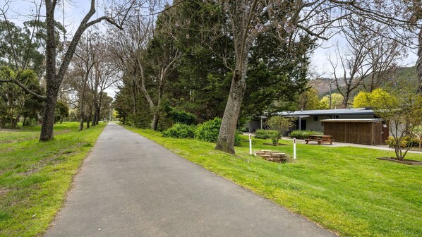 A paved pathway flanked by trees, leading to a building with a picnic table and a covered area.