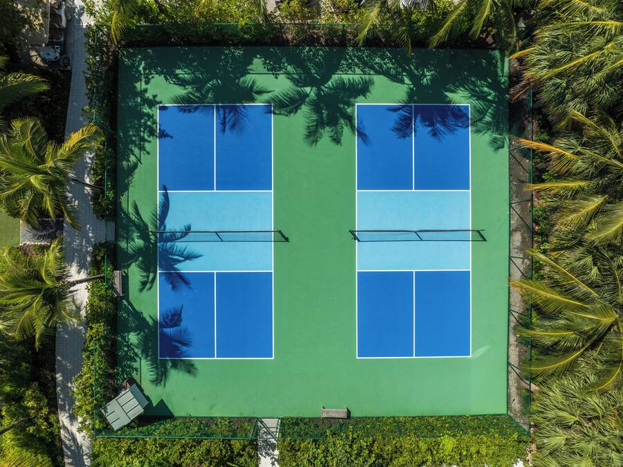 An aerial view of a tennis court surrounded by palm trees.