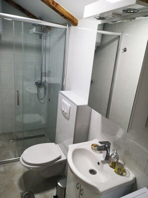 Dusche, Haartrockner, Handtücher, Seife