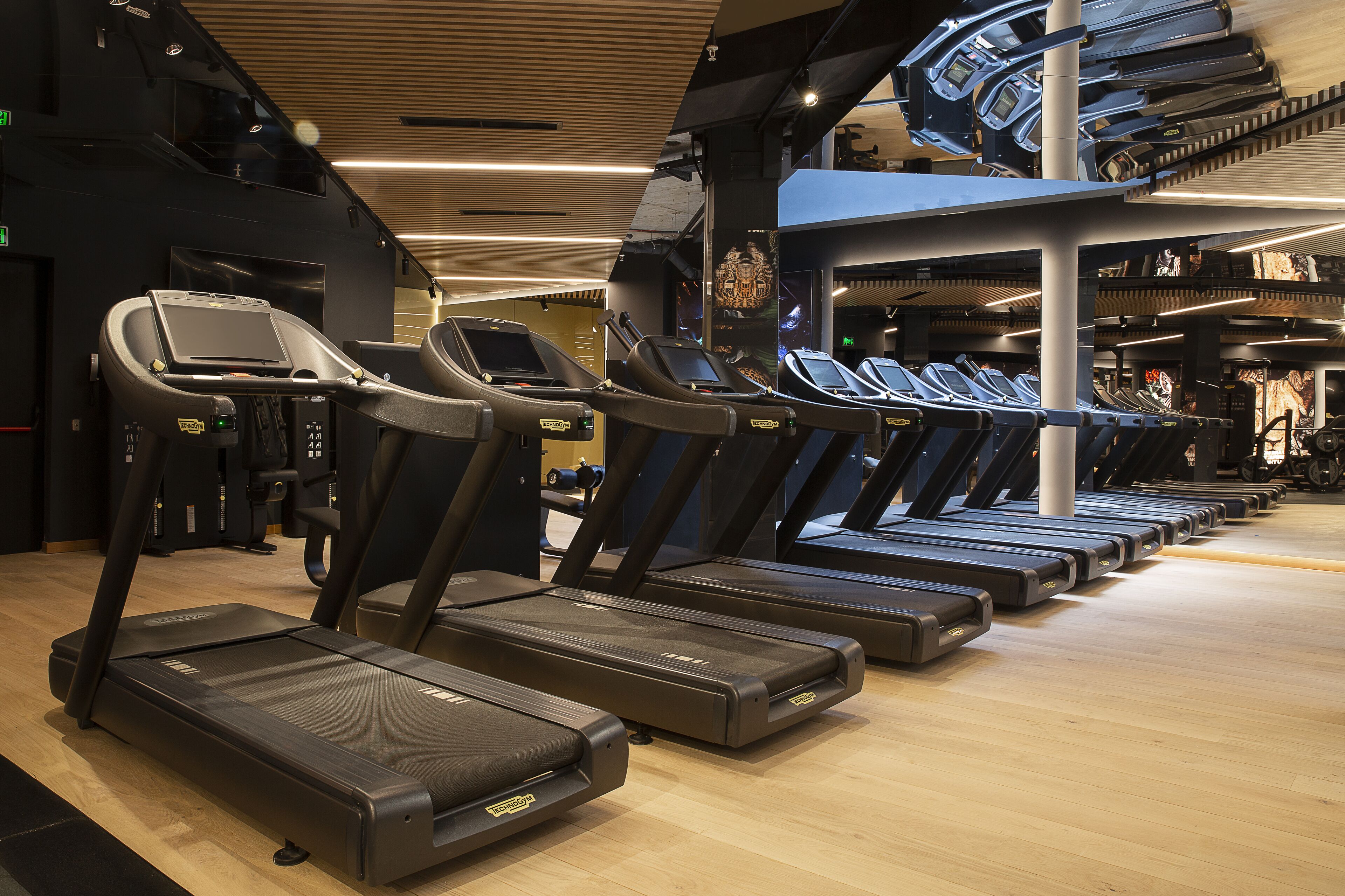 A gym with multiple treadmills aligned in rows, a wooden floor, and a modern ceiling design.