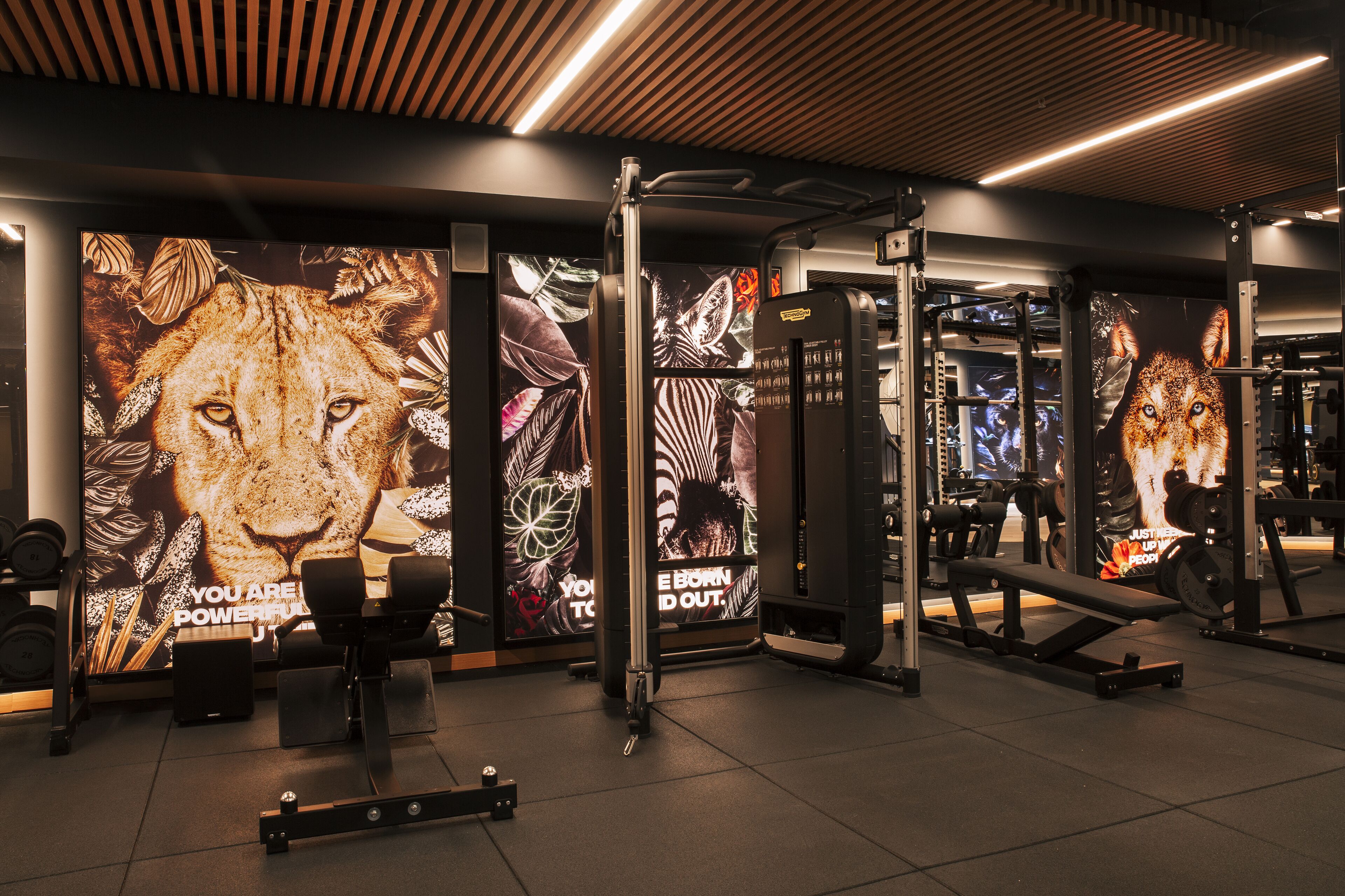 Ett gym med träningsutrustning, motiverande affischer och ett träpanelat tak.
