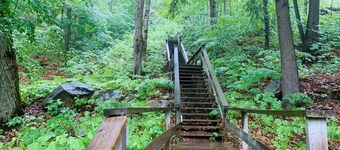 Beautiful Cottage near Haliburton and Muskoka - ~ 3 Hours from GTA