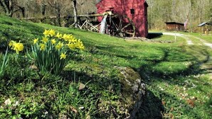 Une grange rouge avec une roue à eau, entourée d’une zone herbeuse où poussent des jonquilles jaunes.
