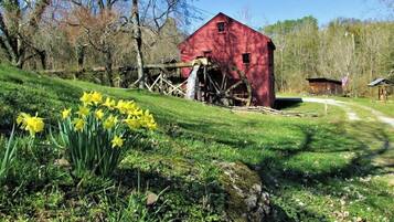 Parco della struttura