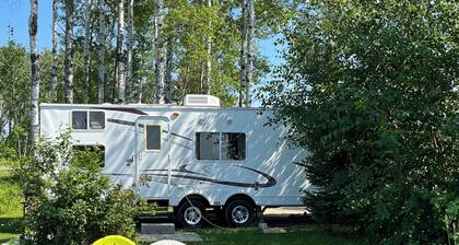 Eagle- Camper at Sunset Bay