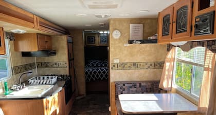 Eagle- Camper at Sunset Bay