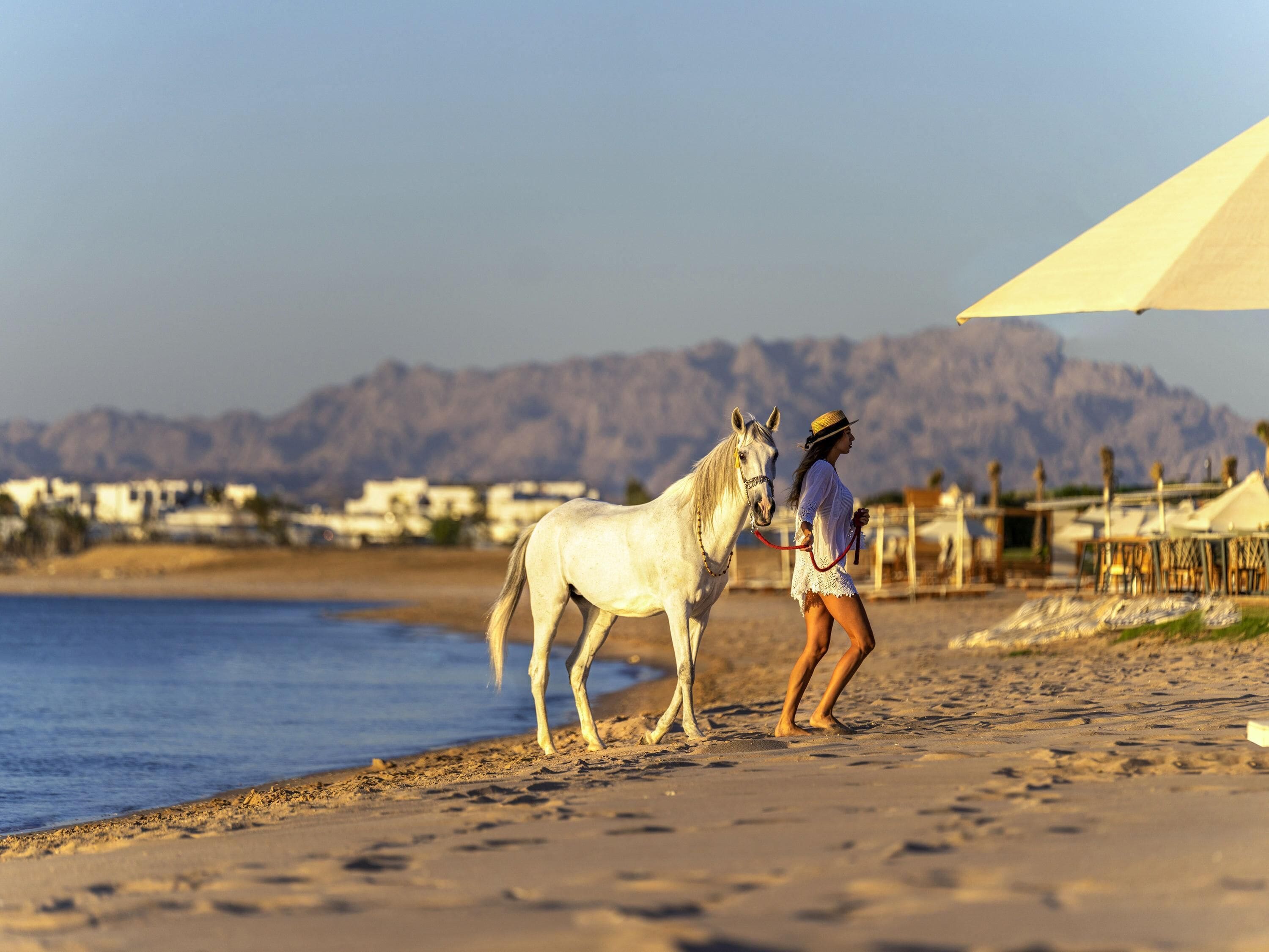 Una playa con un caballo y jinete, una tienda de campaña y montañas al fondo.
