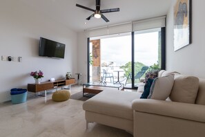 Smart TV, Netflix, streaming services