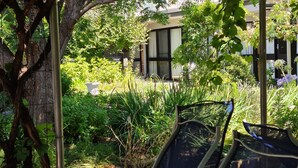 Un espacio de estar al aire libre cubierto con una pérgola, rodeado de abundante vegetación y un edificio al fondo.