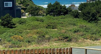 Ocean view, 100 yards to beach, pet friendly, secure fenced yard.