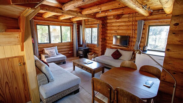 Fernseher, Kamin, Bücher