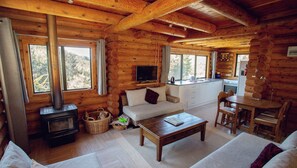 TV, fireplace, books