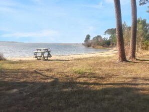 Une table de pique-nique au bord d’un lac, avec des arbres en arrière-plan.