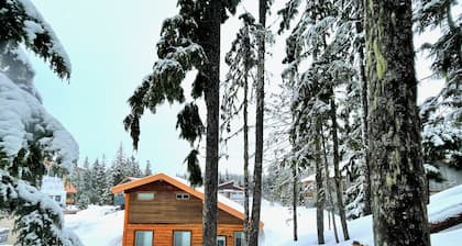 Barlow Pines Lodge - spacious cabin next to Ski Bowl with a Mt. Hood view
