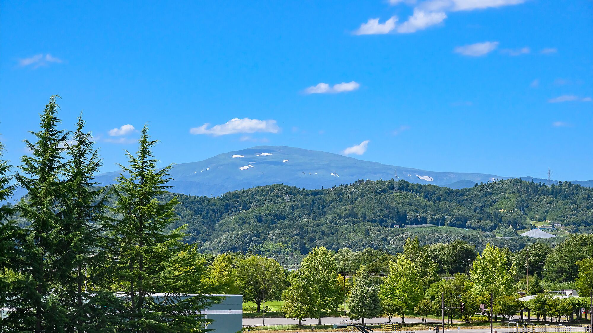 A mountain with a clear sky and a forested area in the foreground.