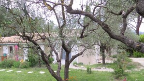 A garden with olive trees, a pathway, and a building with a tiled roof. - Lovely Mazet with shared, heated, secure swimming pool (Mirabel-aux-Baronnies)