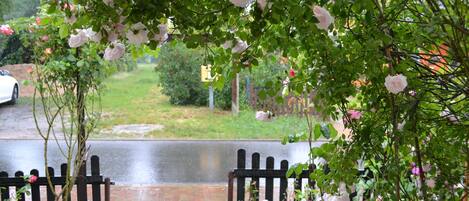 Overnattingsstedets uteområder