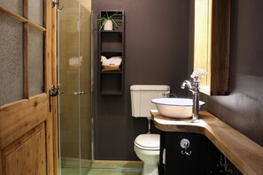 Ducha, secador de pelo, toallas, papel higiénico