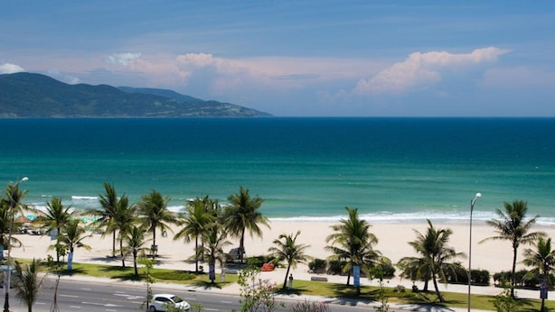 A beach with palm trees and a road in the foreground. - Crystal Le Apartment Danang (Da Nang)