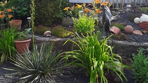 A garden with various plants, a wooden pergola, and a white fence. - Welcome to the beautiful 3 rivers city with Andrea and Axel <br> (Hann. Münden)