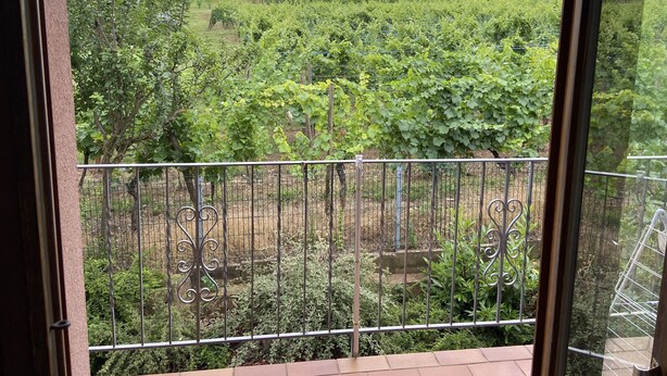 A balcony with a view of a vineyard. - Apartment Pinot 4 persons (Beblenheim)