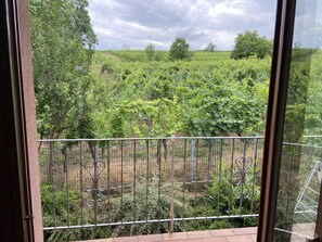 A balcony with a view of a vineyard. - Apartment Pinot 4 persons (Beblenheim)