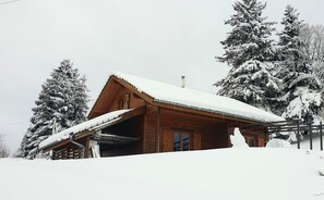 Eksteriør