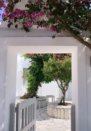 A white-walled corridor with a stone floor leading to a small garden area with a tree and pink flowers. - Island Mykonos Suites & Studios (Mykonos)