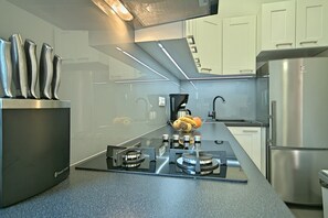 Kühlschrank, Mikrowelle, Herdplatte, Geschirrspüler