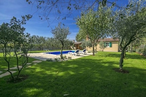 Pool | Outdoor pool - Villa Oliva (Porec)