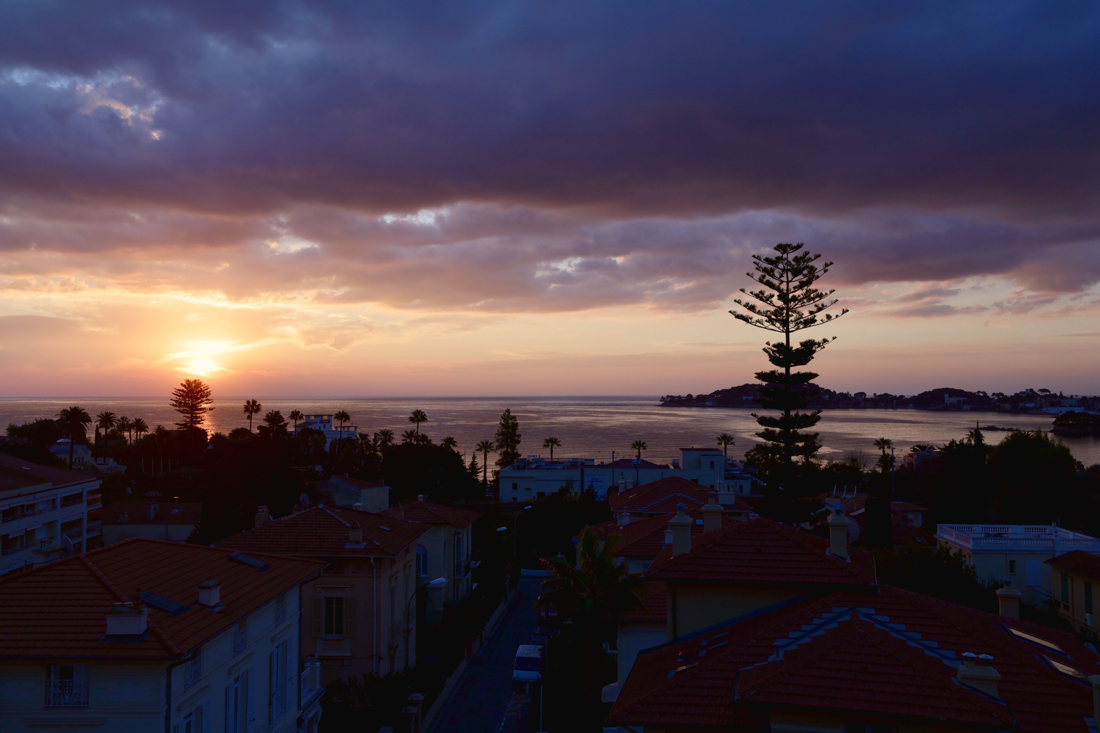 A coastal town at sunset with buildings and a prominent tree in the foreground.
