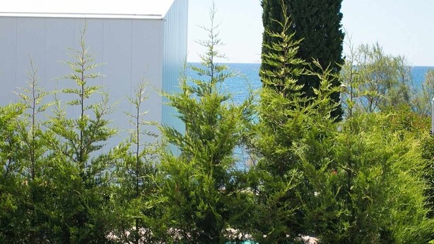 Property grounds - Apartments Materada 1 (Porec)