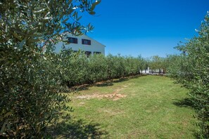 Property grounds - Emanuel 1 (Tar-Vabriga)