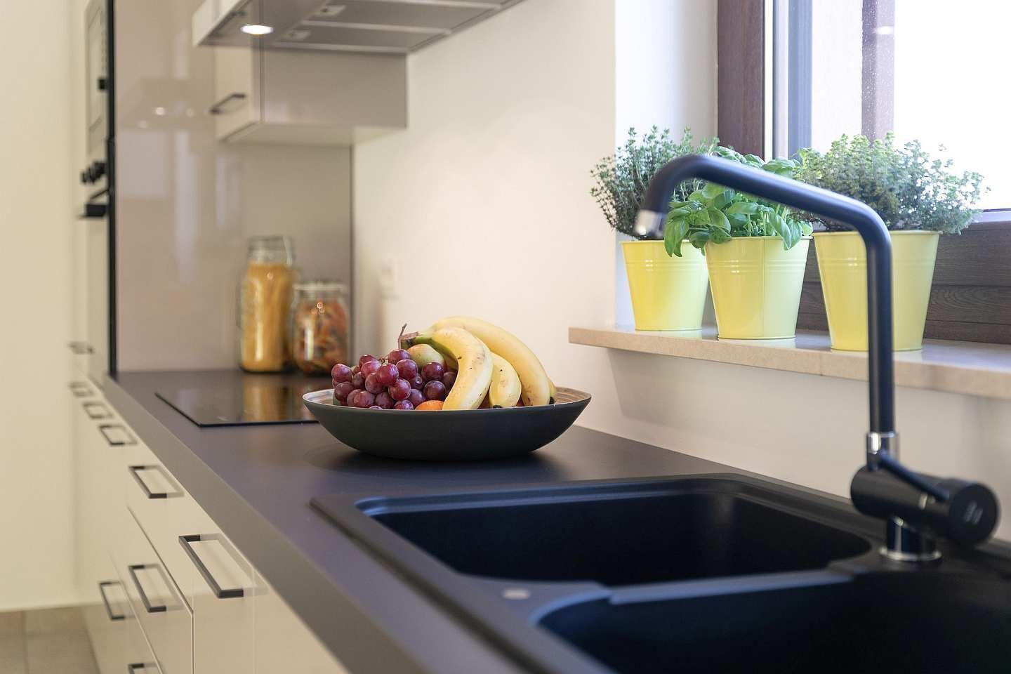 Kühlschrank, Mikrowelle, Herdplatte, Geschirrspüler