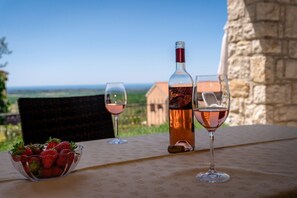 Balcony view - Villa Bellavista Poletti (Visnjan)