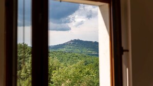 City view from property - Villa Alba (Motovun)