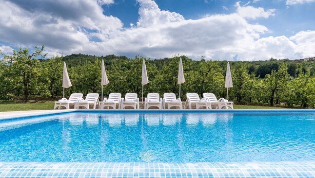 Pool | Outdoor pool - Villa Alba (Motovun)