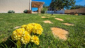 Unclassified image, 3 of 43, button - Villa Mala (Novigrad)