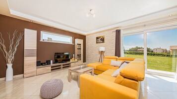TV, fireplace