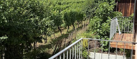 A balcony with a view of a vineyard.