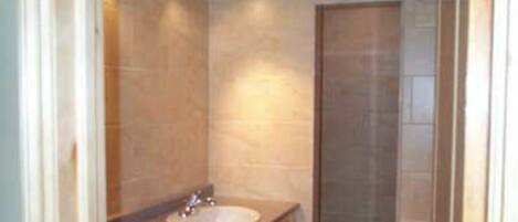Une salle de bain avec un lavabo, un miroir et une douche.