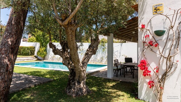 Un espace piscine agrémenté d’un arbre, de mobilier d’extérieur et d’un mur blanc sur lequel est apposée une enseigne.