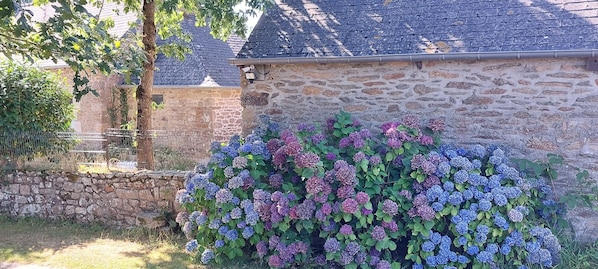 Ein Steinhaus mit einem Metallzaun und Hortensienbüschen.