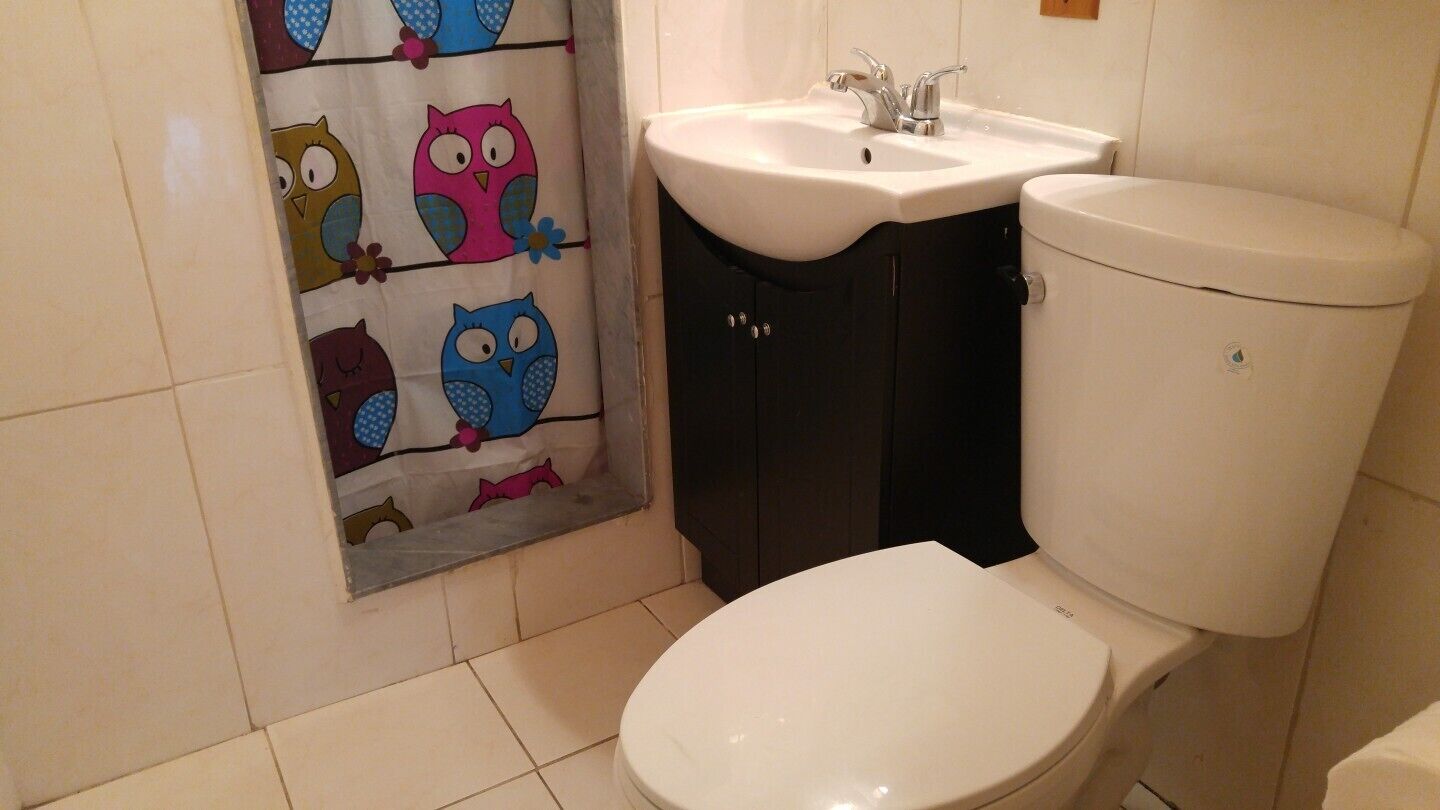 Un baño con inodoro y lavamanos blancos, y una cortina de ducha con diseños de búhos.