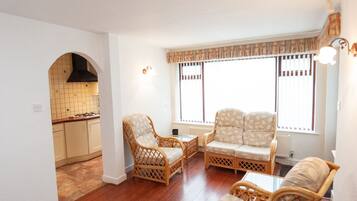 TV, fireplace, DVD player, books